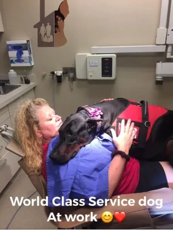 This photo shows a service dog hugging a woman.