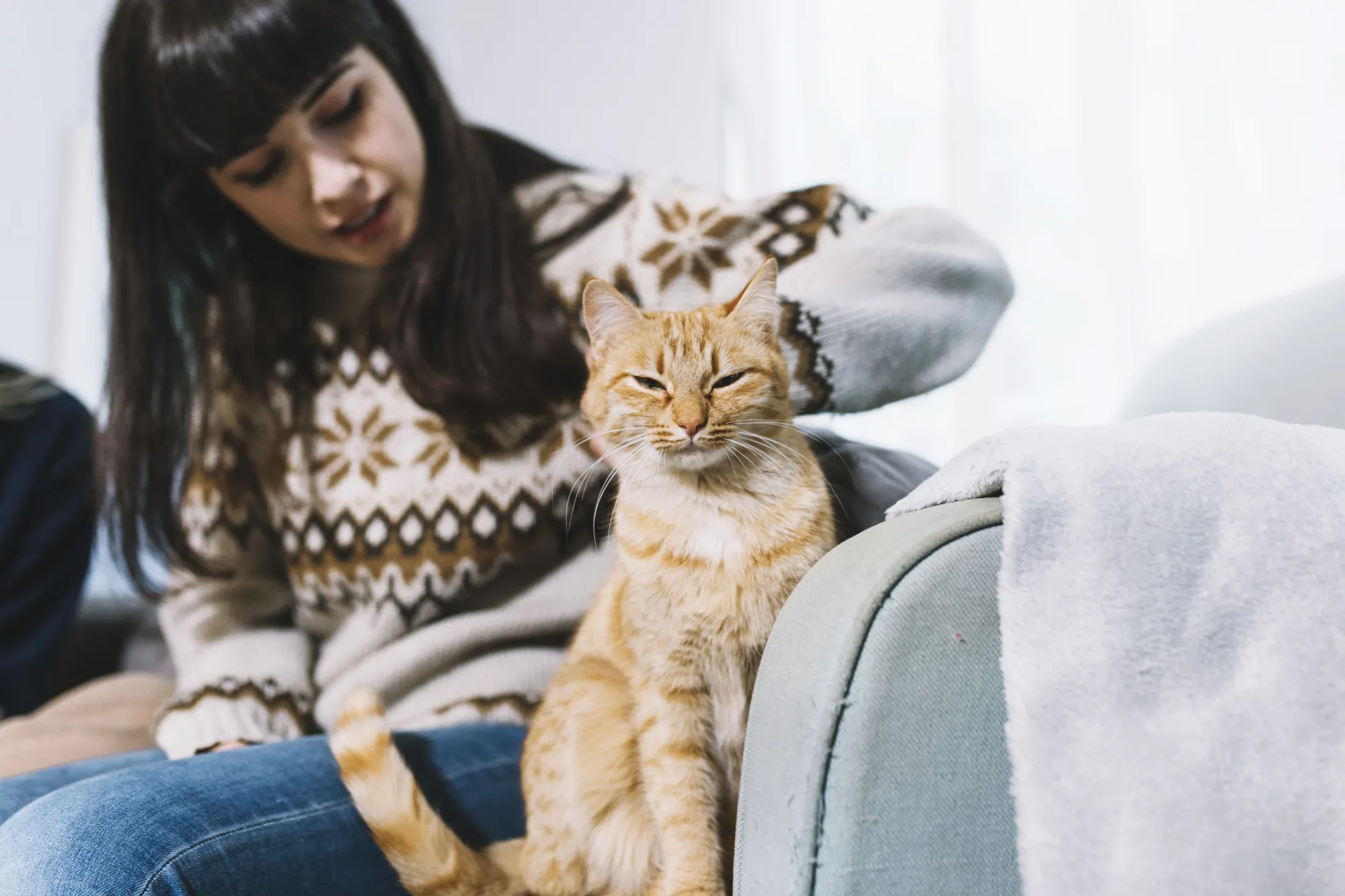 How Often Should Indoor Cats Be Dewormed?