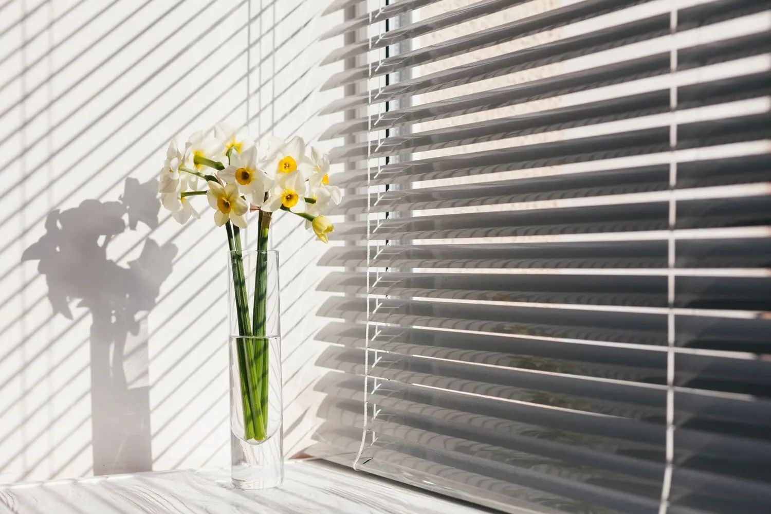 Custom Window Blinds Buying Guide