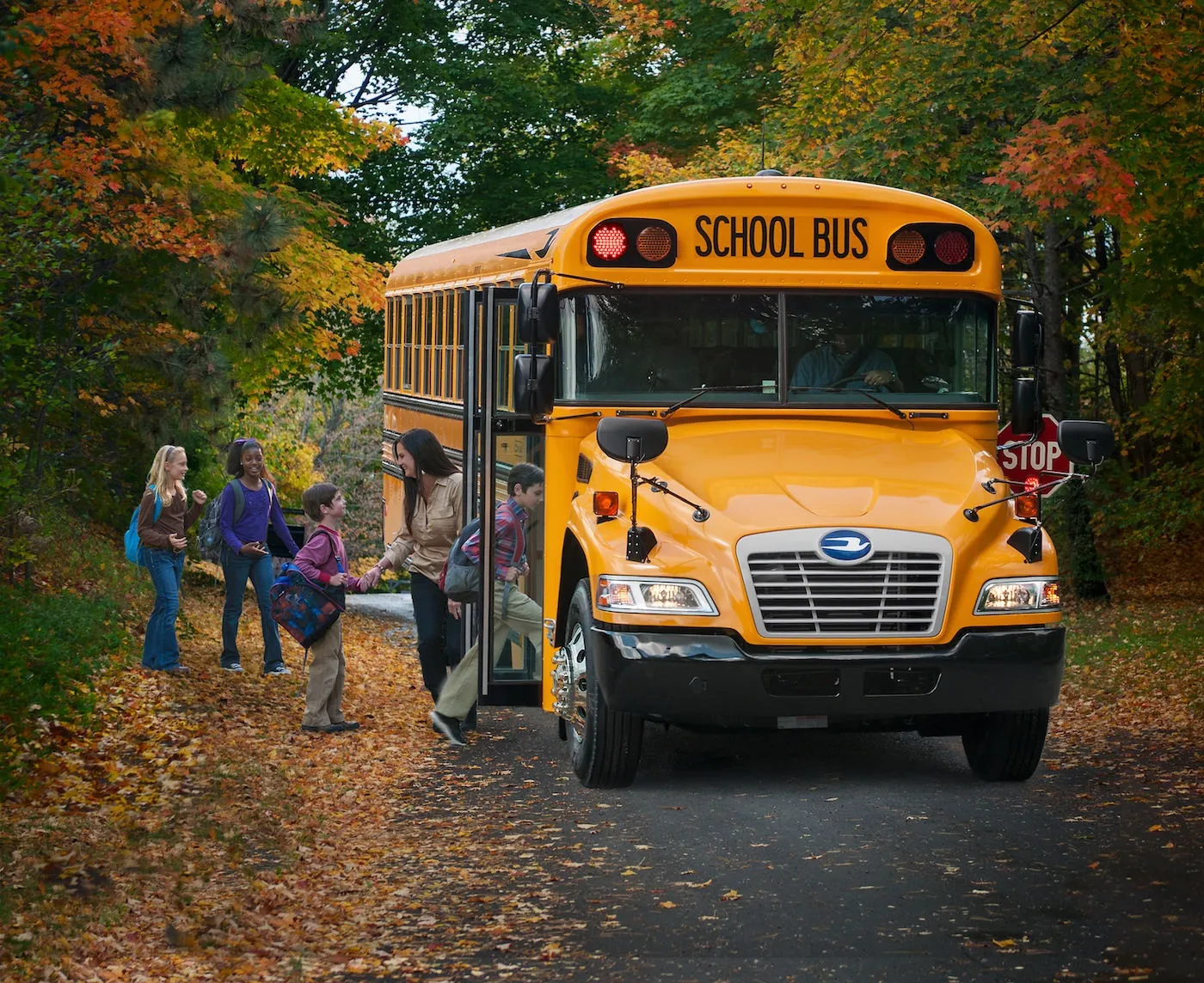 School Bus Rental For Outdoor Learning Adventures
