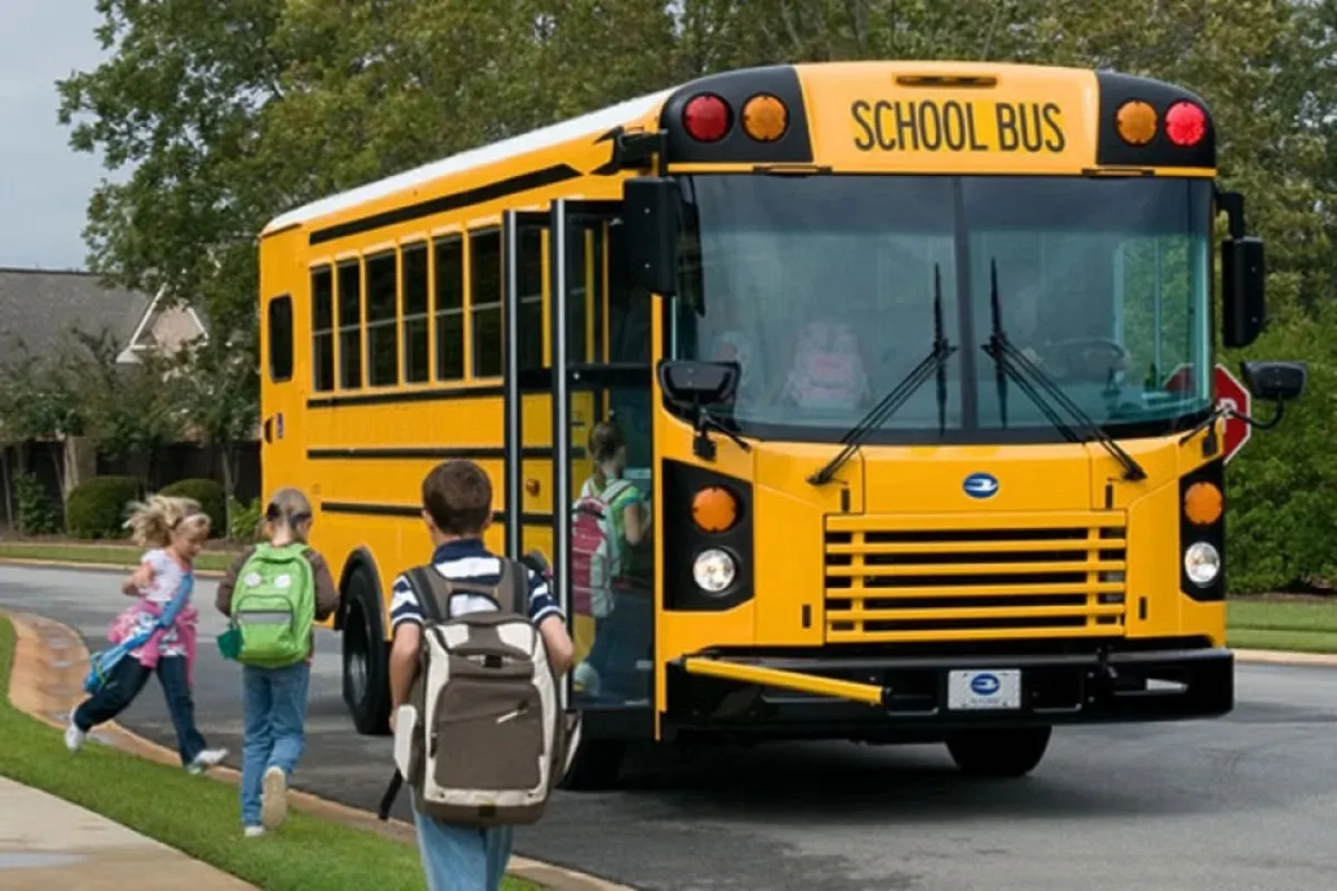 Why Every School Should Use School Bus Rental Services