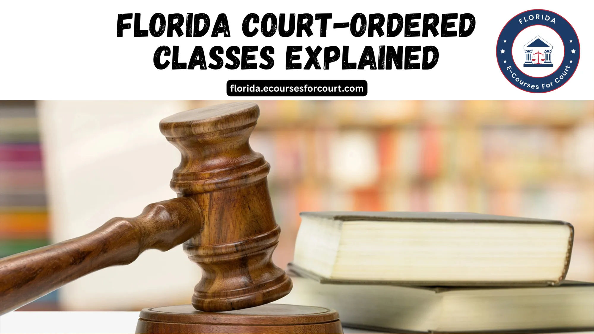Florida Court-Ordered Classes Explained