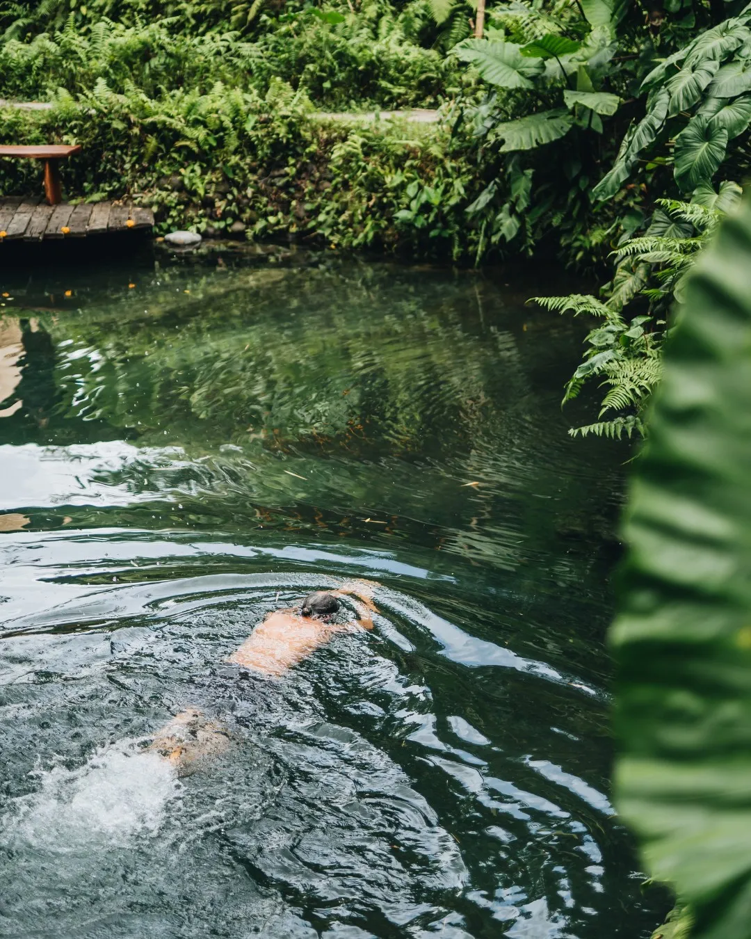 Why I Believe Eco-Luxury Hotels Are Redefining Travel Around the World