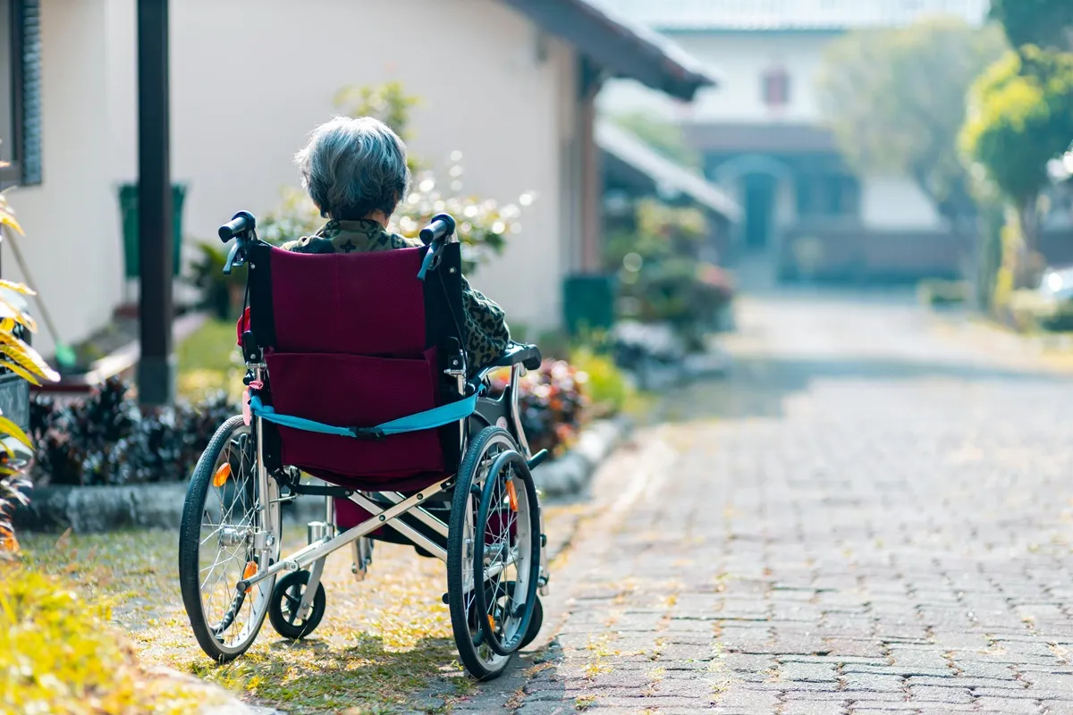 Beyond Basic Boarding: Why Specialized Dementia Care Matters for Aging Relatives