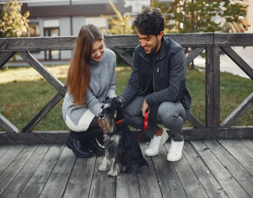 What's the Difference Between Dog Sitting and Dog Walking?