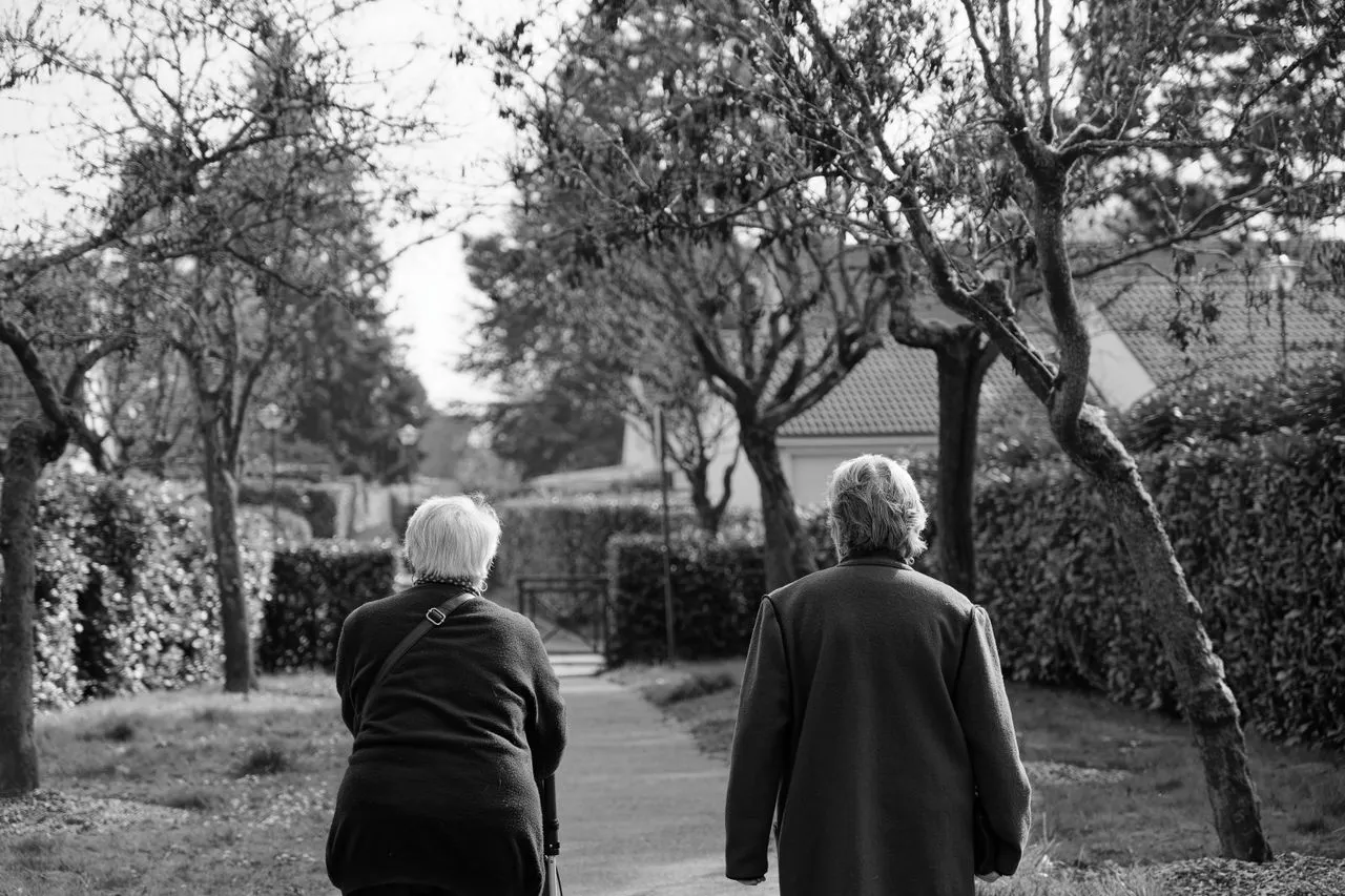 What Makes a Supportive Living Environment Successful?