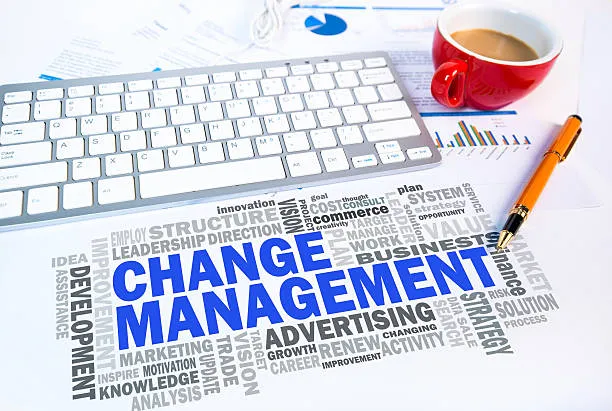 CIPD Assignment Writing HR’s Role in Change