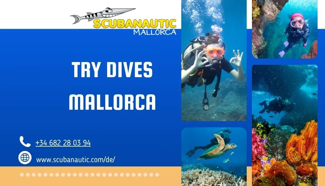 Learn Scuba Diving in Mallorca: Complete Guide to Diving Courses