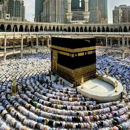 باصات نقل من مكة للمدينة وتجربة سفر آمنة ومريحة