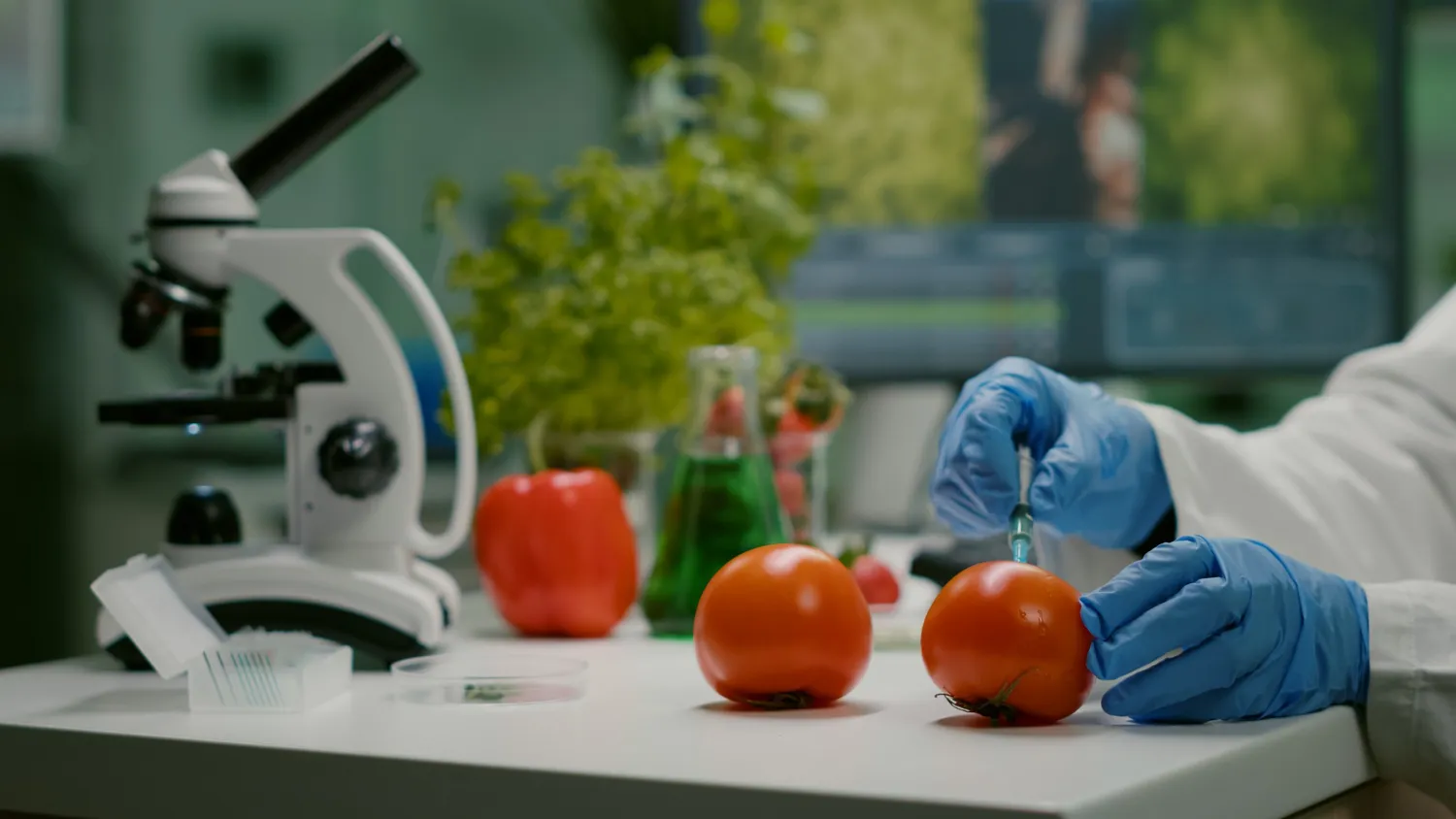 The Role of Food Testing in Export and Import Compliance