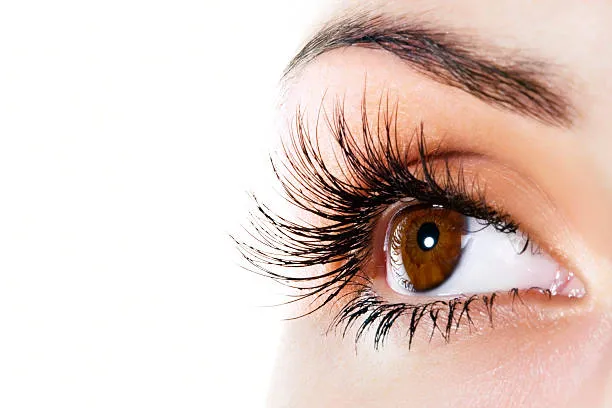 Top 5 Waterproof Eyelash Mascaras for All-Day Wear
