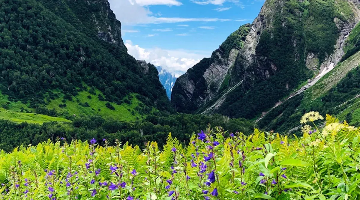 Is the Valley of Flowers Trek Hard? A Complete Beginner's Guide