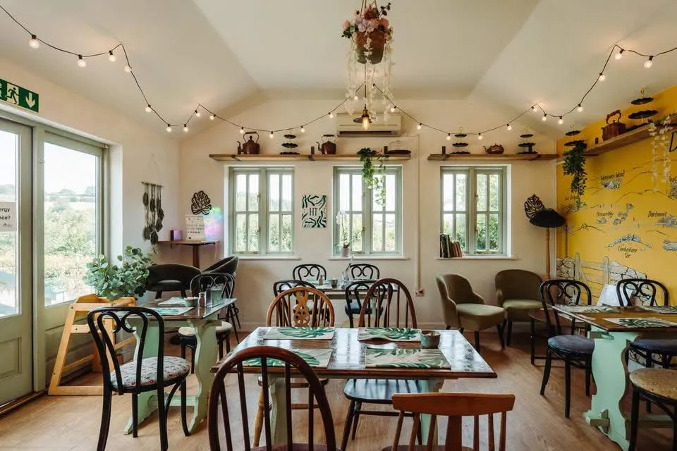 How to Choose the Perfect Devon Tea Room for Your Next Countryside Escape