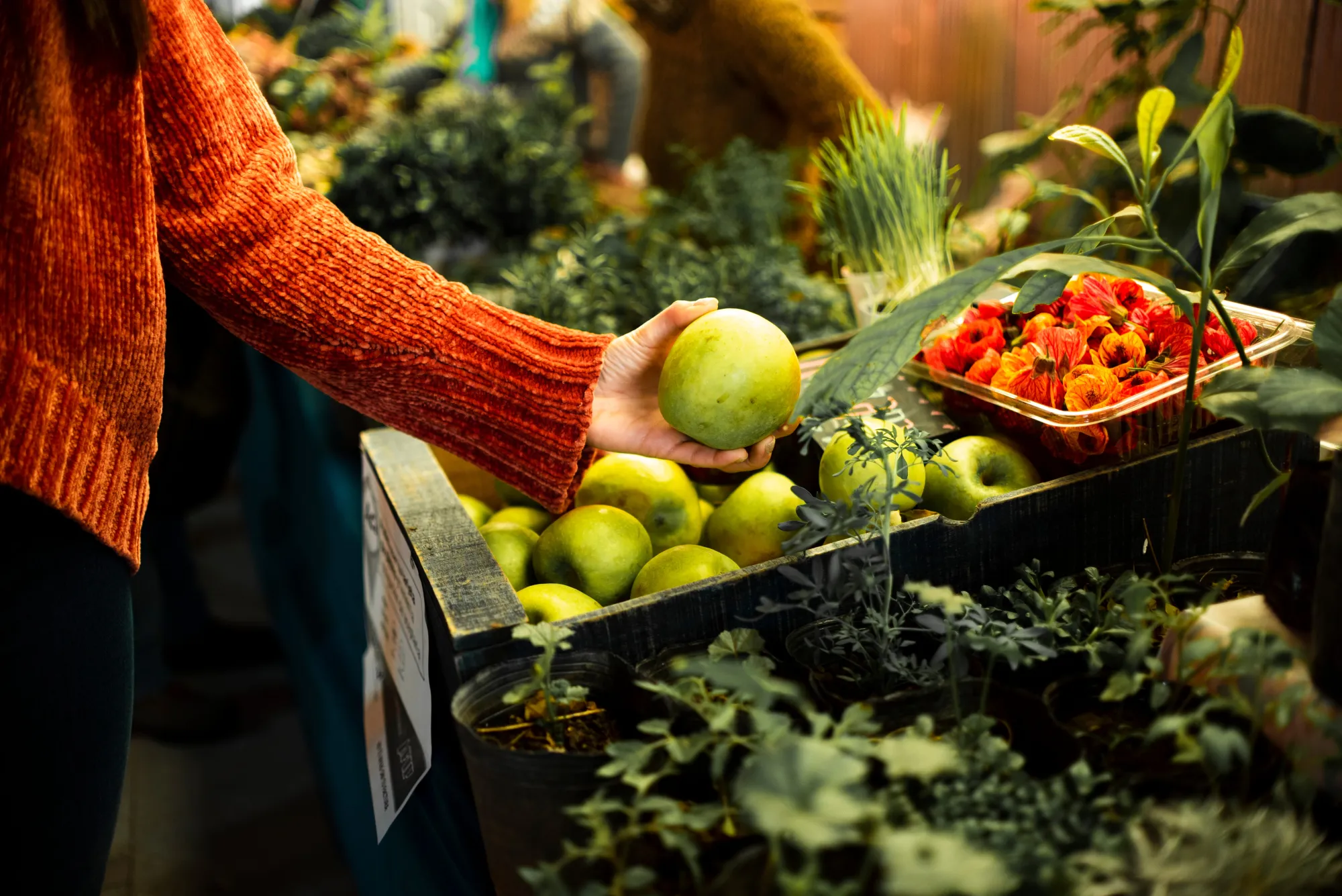 Why Every Fruit and Vegetable Processing Company Needs a Certificado HACCP