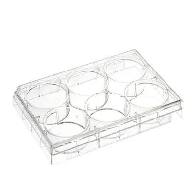 Understanding Cell Culture Equipment: Flasks, Plates, and Dishes Explained
