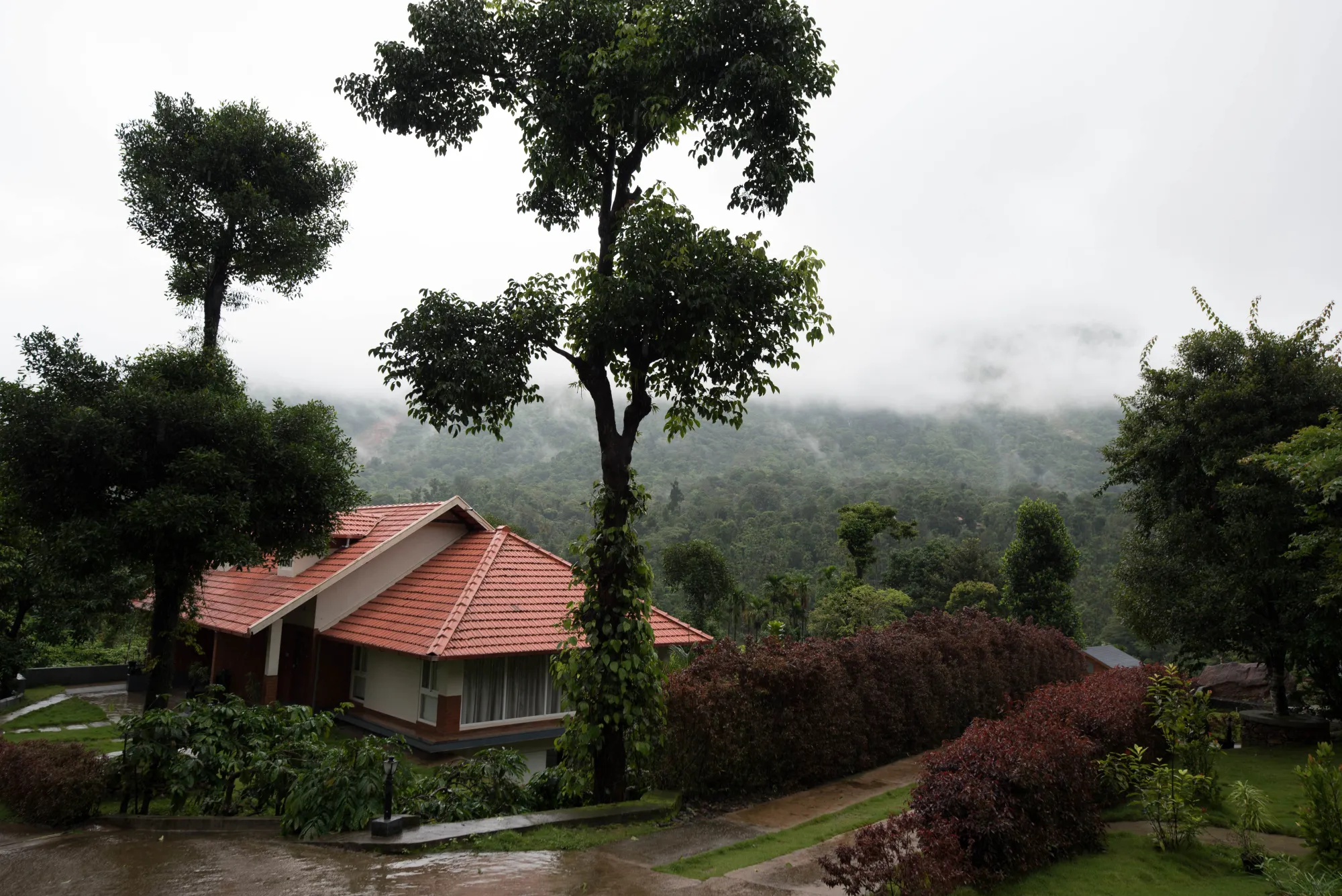 Best Resorts in Chikmagalur: What Actually Matters When You're Travelling with Kids