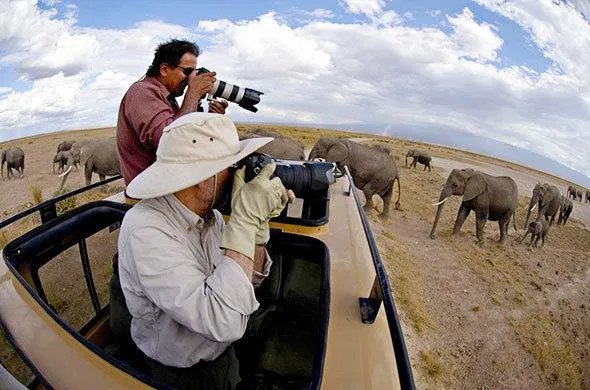 Safari Photography Tips for Beginners