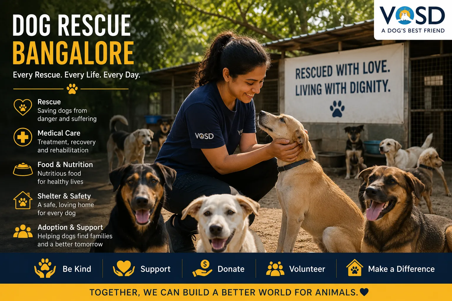 Dog Rescue Bangalore: Why Stray Dogs Need More Than Emergency Help