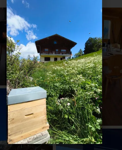 Alpine Chic Chalet Valais | Chalet S'zähni with Private Sauna in Grächen