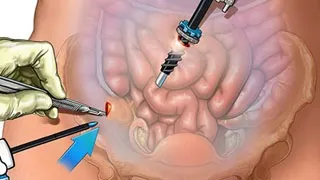Best Gynecologist in Kolkata for Pregnancy and Fertility Care