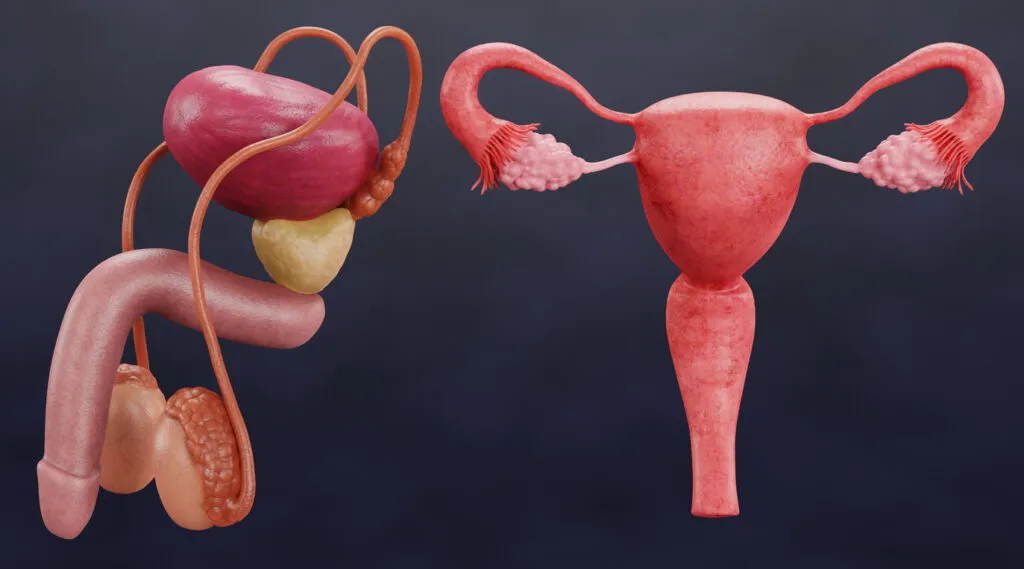 Comprehensive Urological Surgery Care in Kakinada: From Diagnosis to Recovery