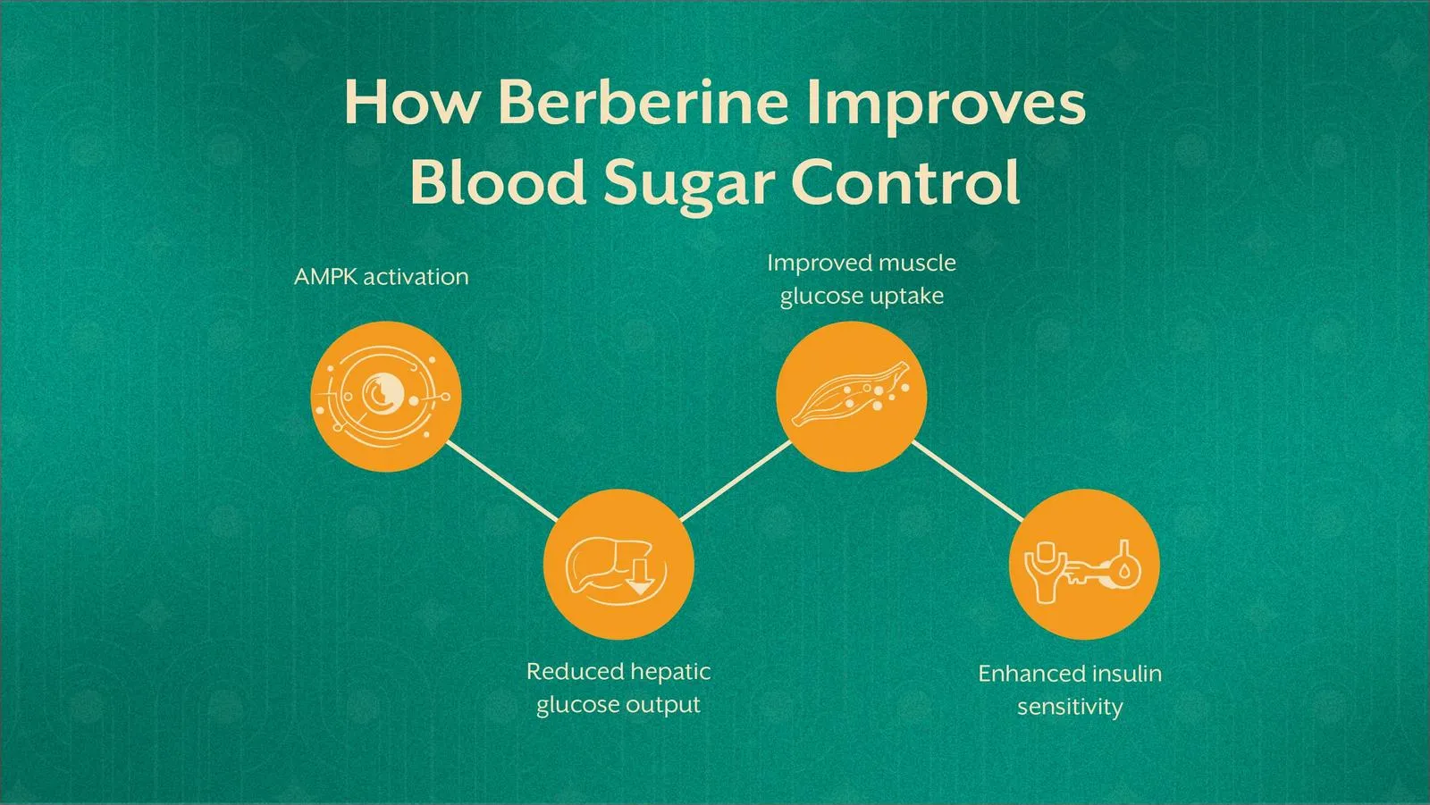 Berberine and Blood Sugar: What It Really Does