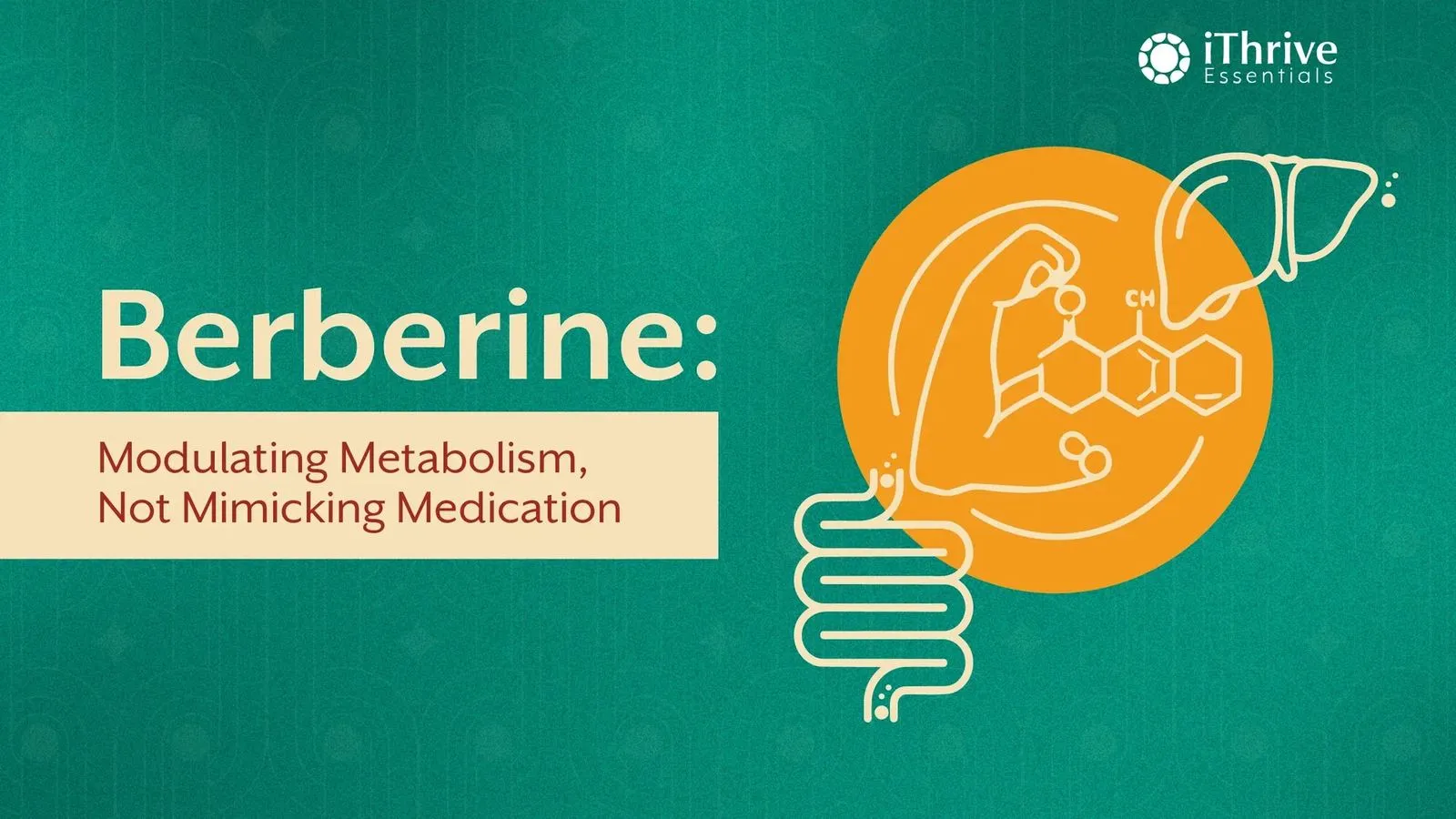 Berberine and Blood Sugar: What It Really Does