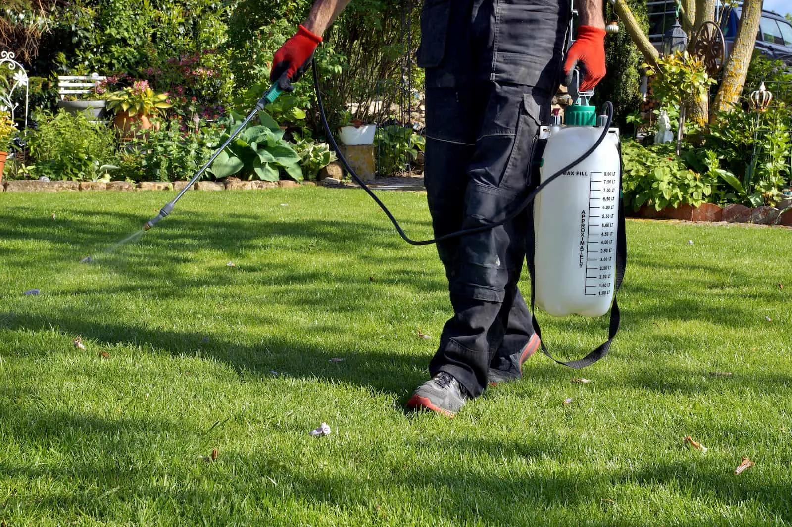 A Homeowner's Guide to Understanding Pest Control Services