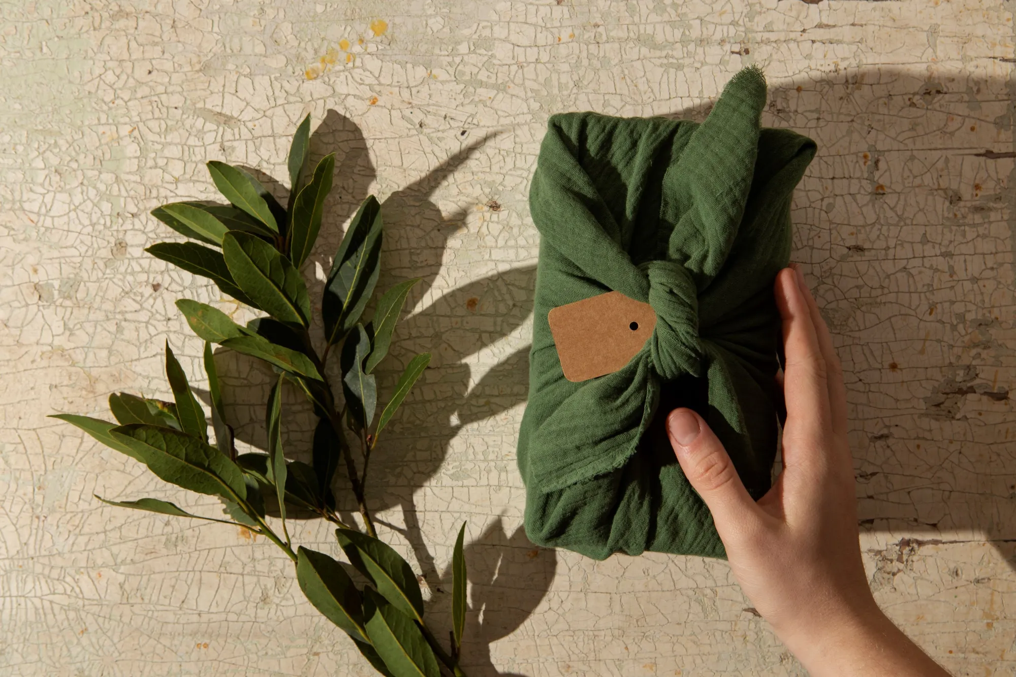 How Sustainable Fashion Brands Source Apparel Responsibly From India