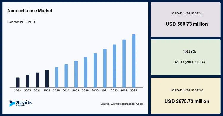 Nanocellulose Market to Benefit from Rising Investments in Sustainable Packaging Solutions