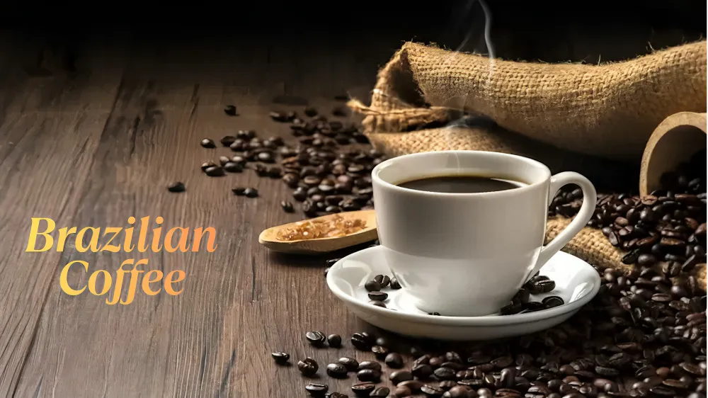 Brazilian Coffee: Everything You Need to Know