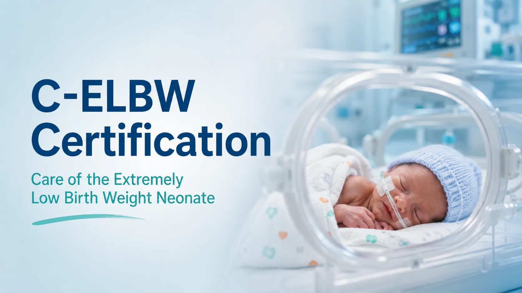 Premature newborn in a NICU incubator beside C-ELBW Certification title for neonatal care professionals and NICU nurses.