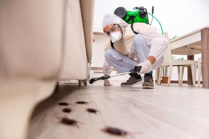 The Homeowner’s Seasonal Guide to Managing Household Pests