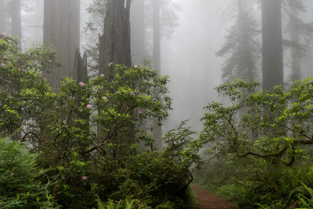 What Actually Makes a Photography Teacher Worth Your Time
