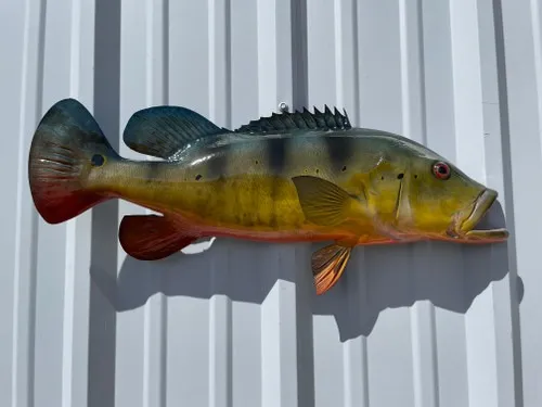 Mounted Fish for Sale – Premium Fish Replicas and Custom Mounts in the USA