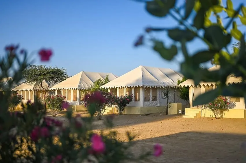 Jaisalmer Desert Camp: Your Complete Guide to a Night in the Thar