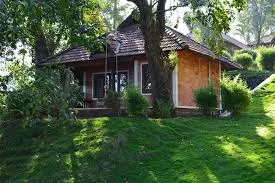 Best Resort in Coorg | Misty Woods
