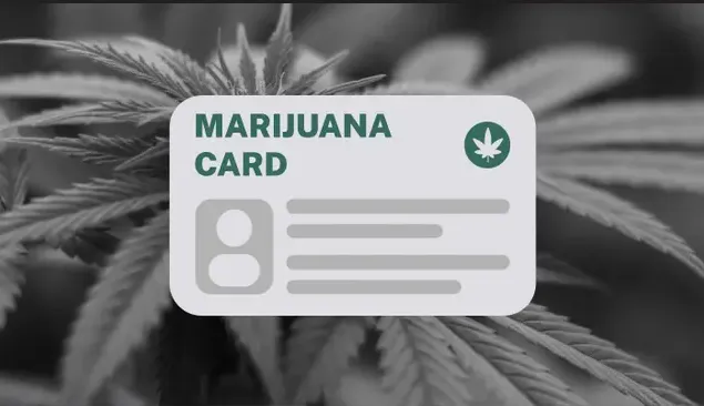 Understanding the Medical Marijuana Card: Why It Still Matters Today