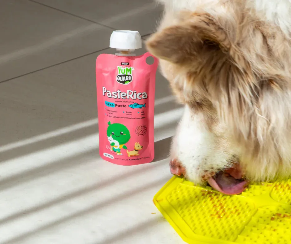 YumGuard Paste Rica for Pet Digestive Health