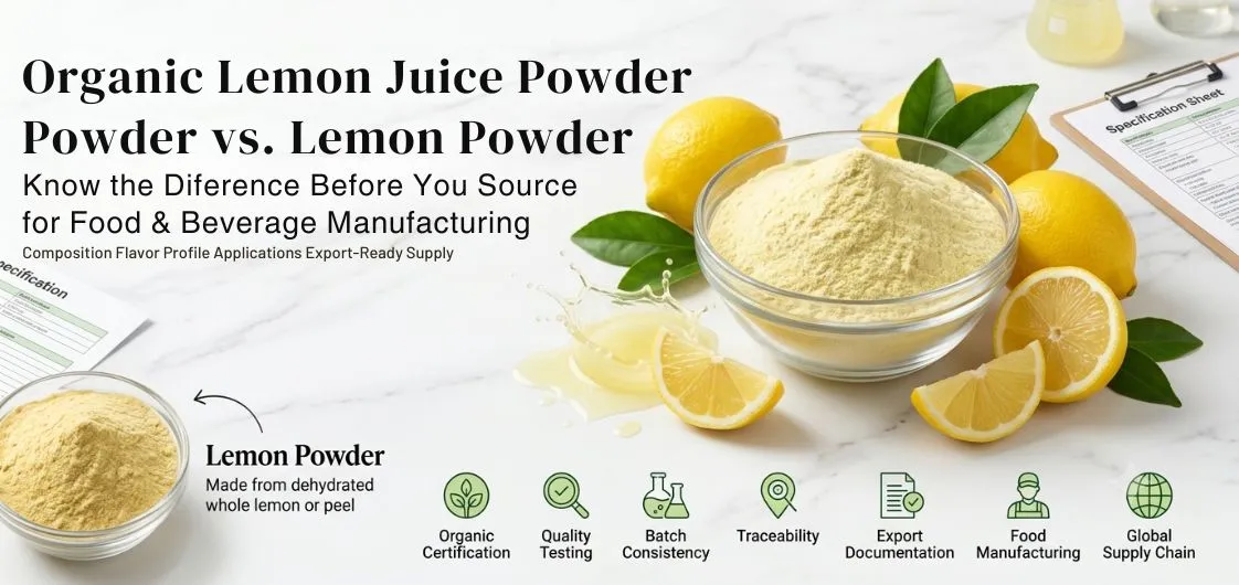 Organic Lemon Juice Powder Export Guide: How It Differs from Lemon Powder for B2B Manufacturers