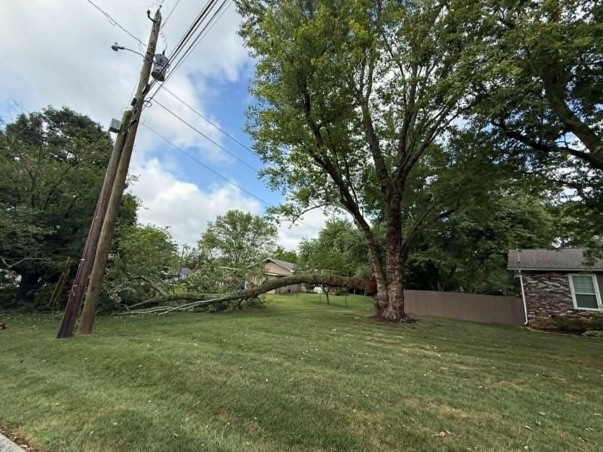 Ice Storms and Tree Emergencies in Knoxville: How to Prepare, Respond, and Recover