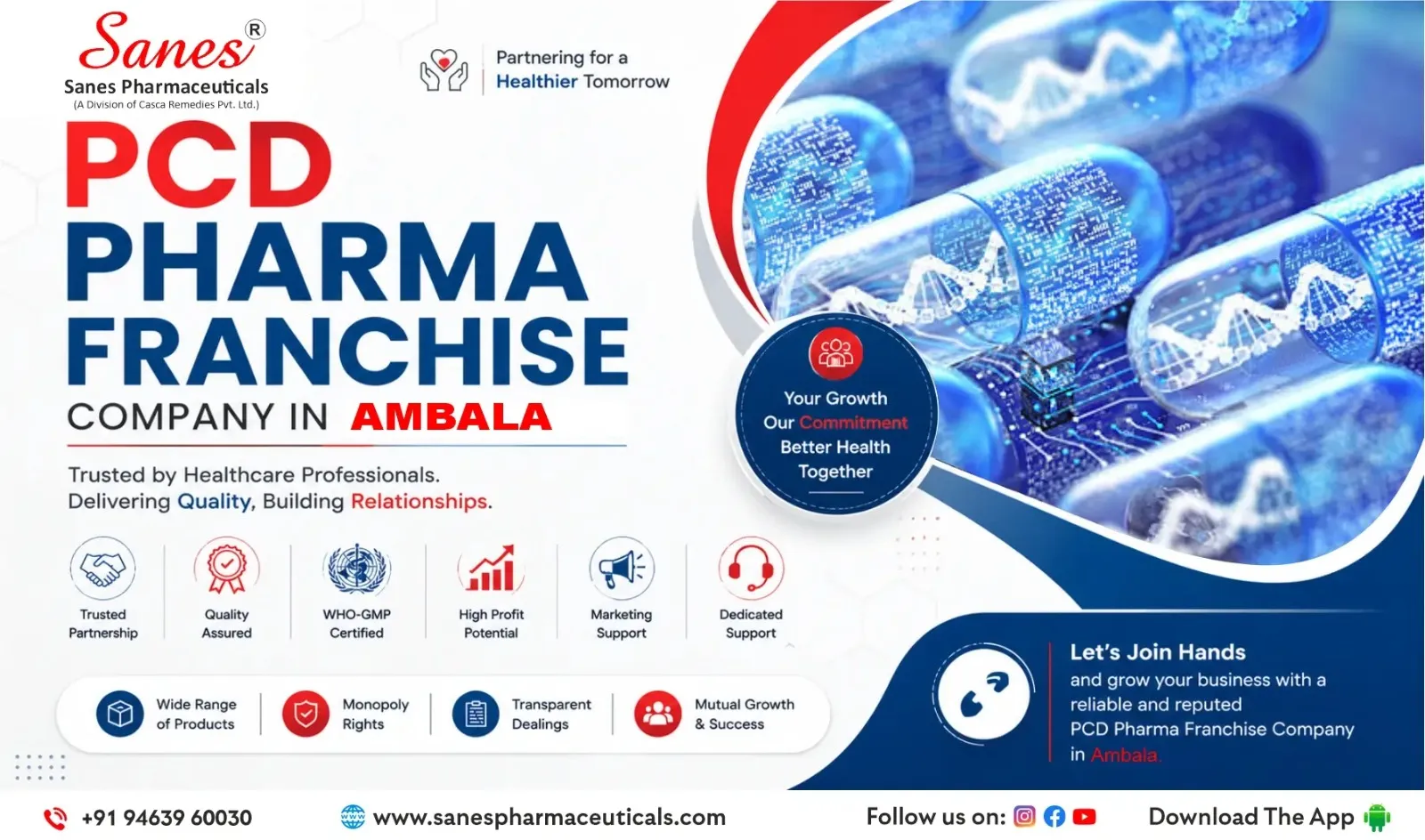 What is the difference between PCD Franchise & Pharma Wholesalers