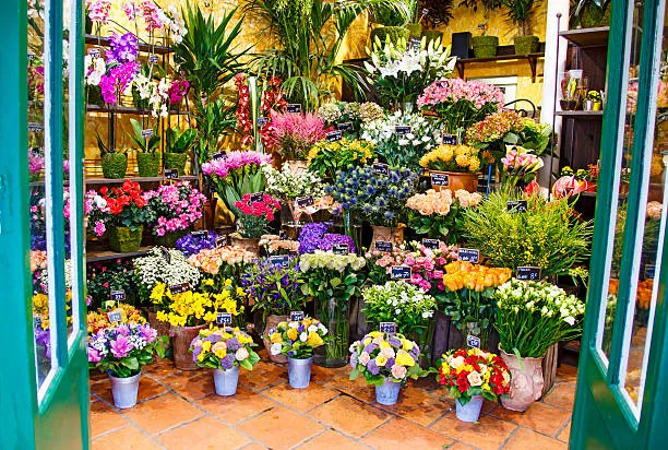 Flower Shop near Al Zorah – Fresh Blooms for Every Celebration