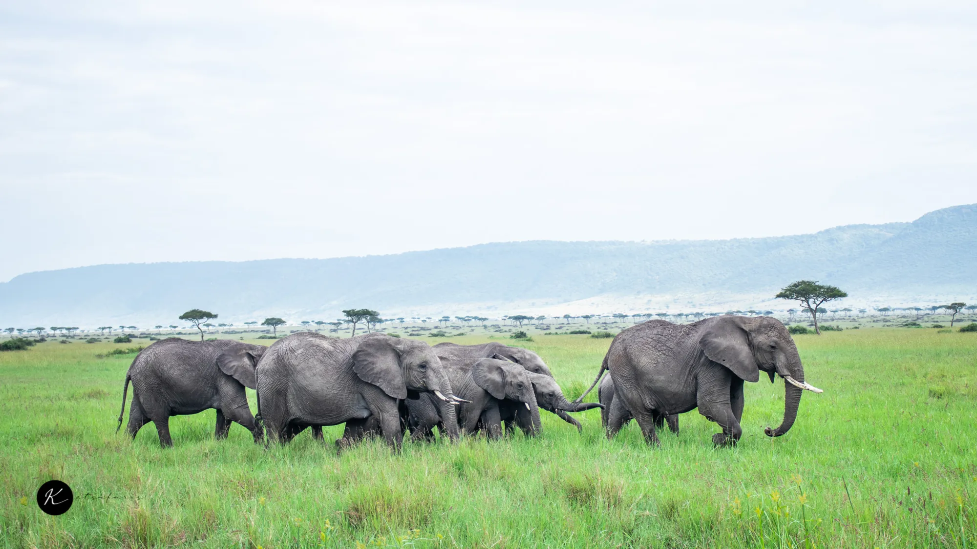 Tanzania Safari Packing List: What Experienced Guides Actually Recommend