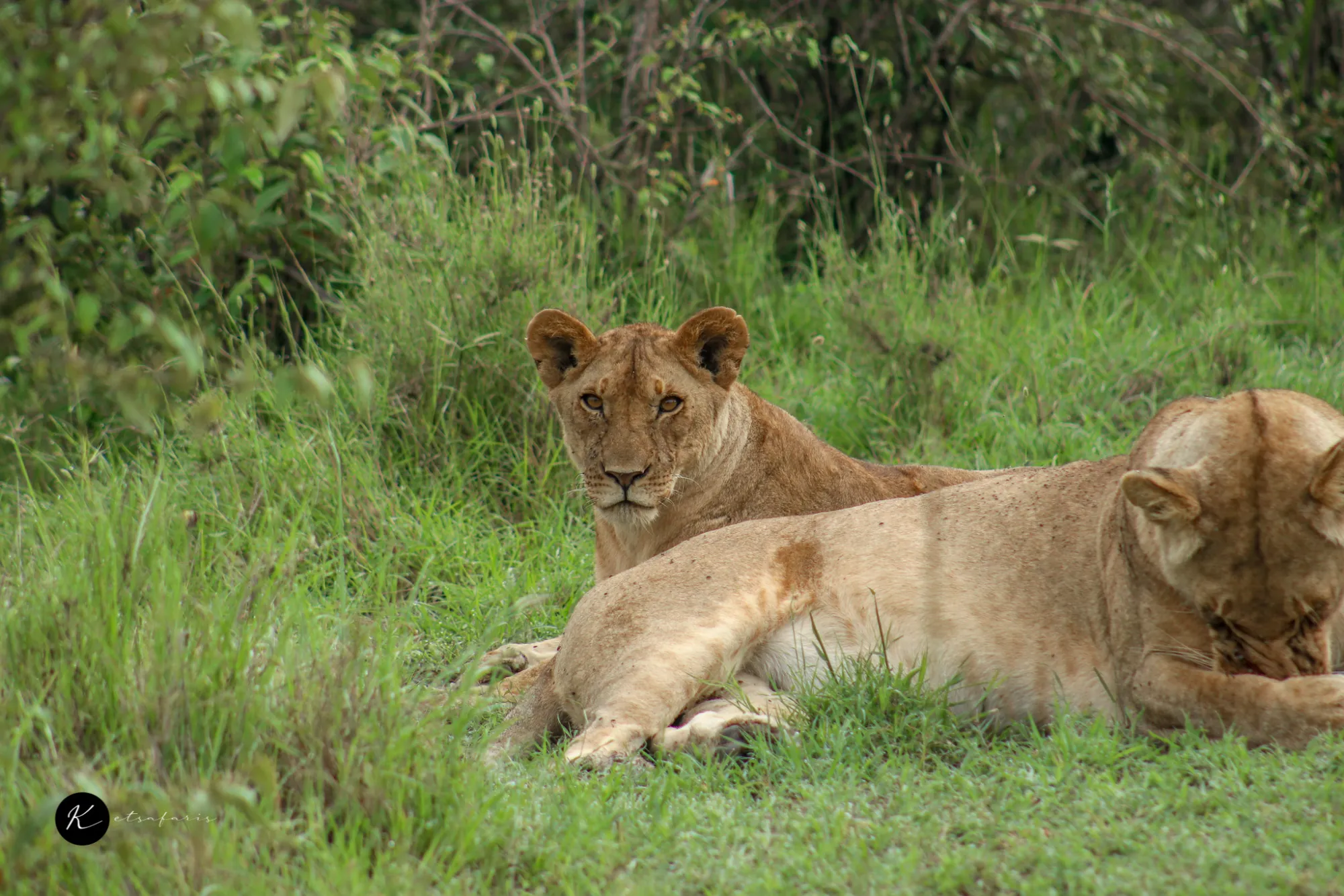 Tanzania Safari Packing List: What Experienced Guides Actually Recommend