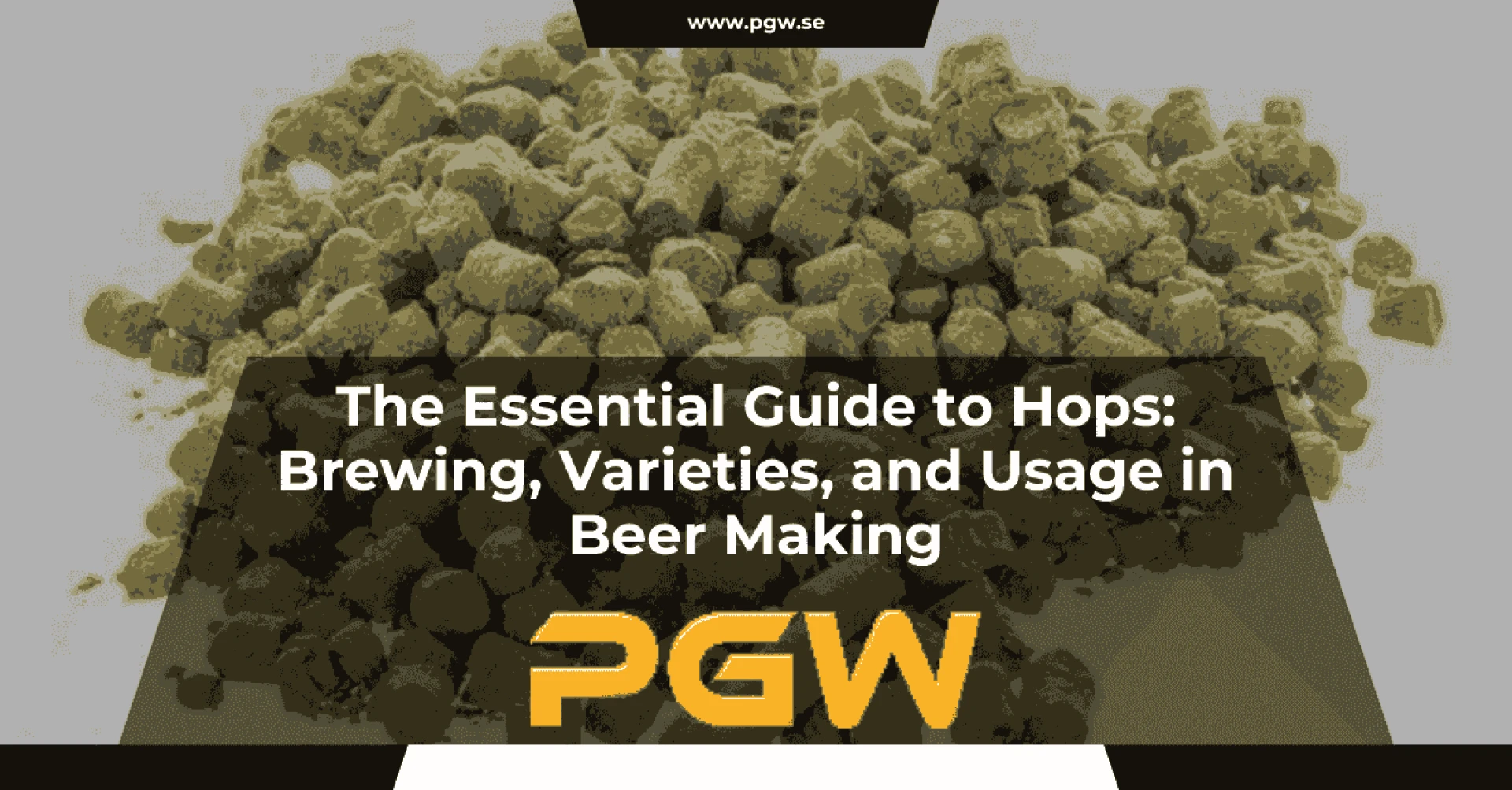 The Essential Guide to Hops: Brewing, Varieties, and Usage in Beer Making