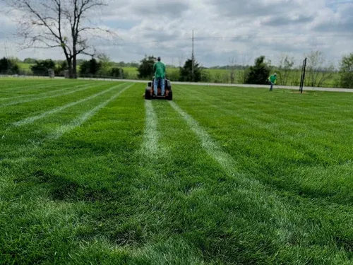 A Homeowner's Guide to Professional Lawn Fertilization Services