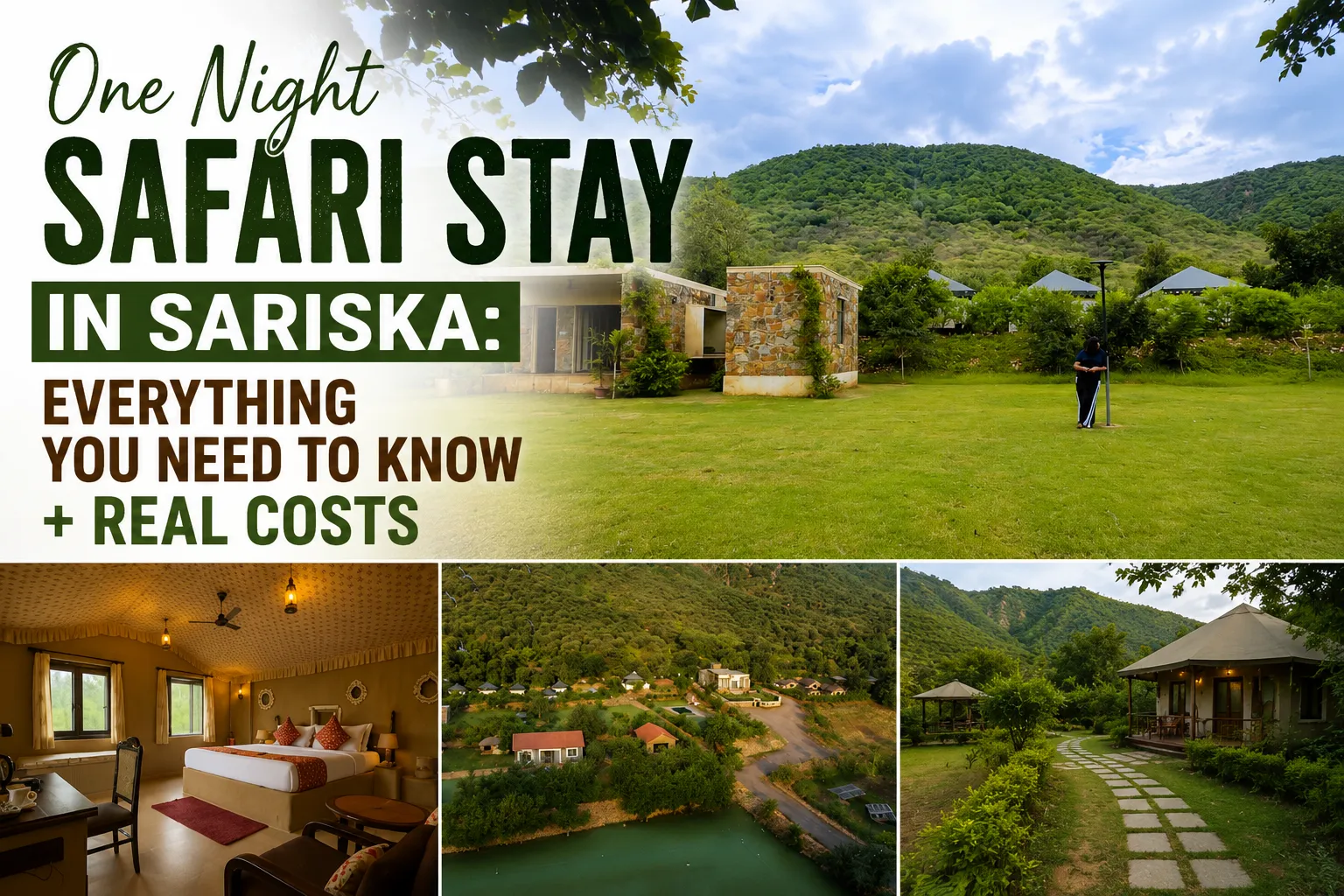 One Night Safari Stay in Sariska: Everything You Need to Know + Real Costs
