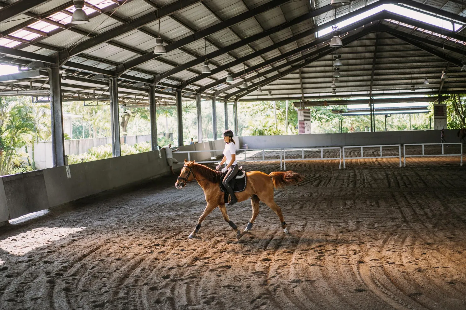 HORSE STABLE in Ontario