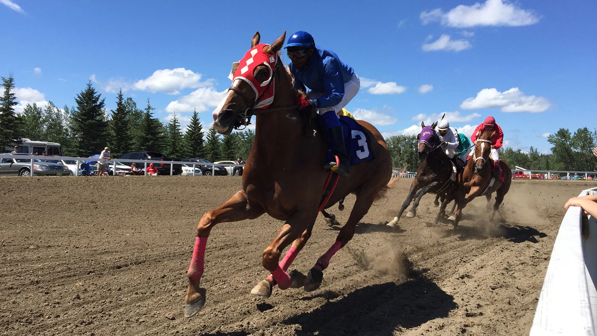 Horse Stables in Ontario: What to Look For in a Quality Facility